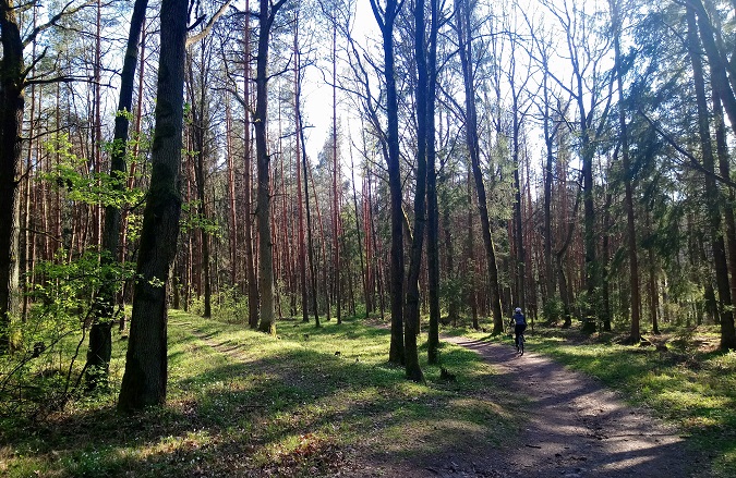 Bike path in a forest around Pilsen